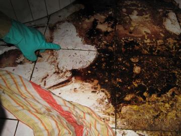 Dezynfekcja czyszczenie po zgonach zmarłych Kraśnik